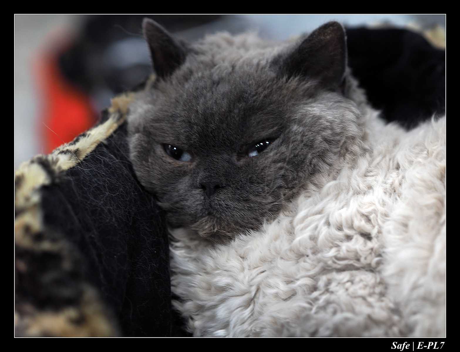 2020 - 02 - Salon agriculture 32